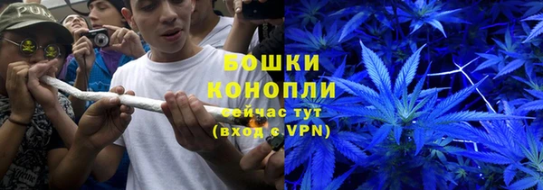 сатива Красноперекопск