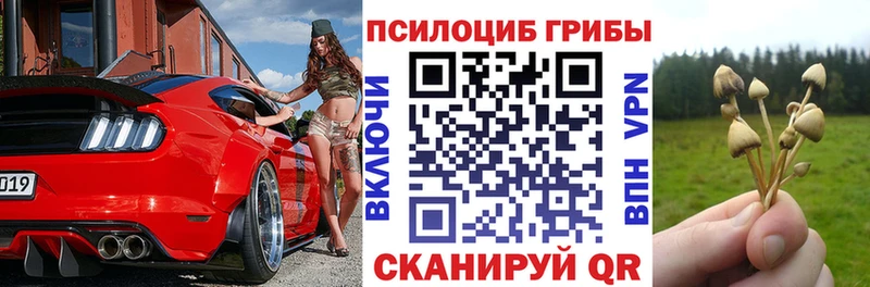 Галлюциногенные грибы Psilocybine cubensis Купить где Горбатов